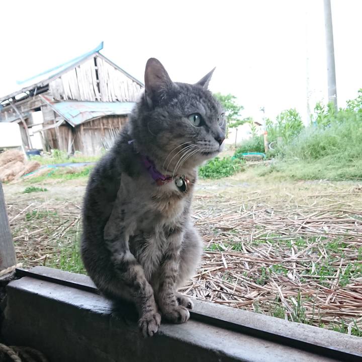 D0890b63 e3c8 45f6 b660 863207799ceb 1590312578240