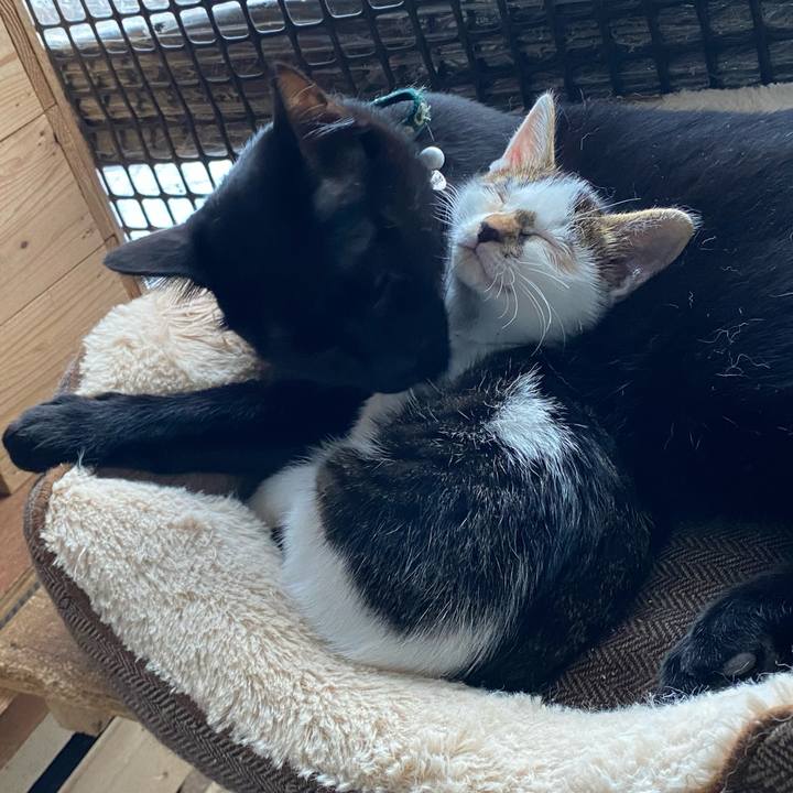 D08926fa db88 4400 a928 71e030a50890 1602116789596