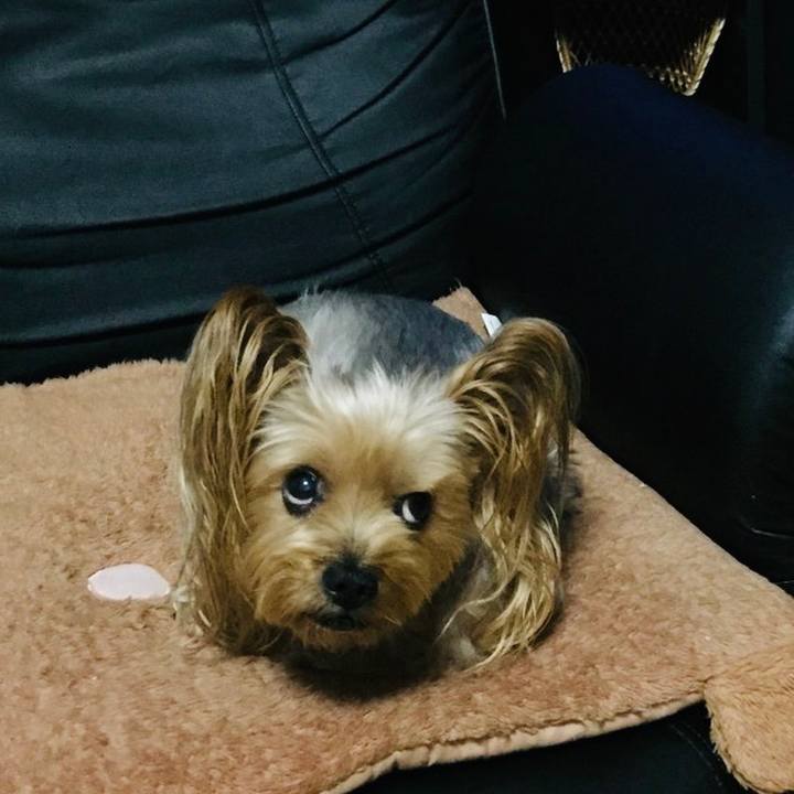 D089304e 10f2 4dca ba00 f4691b4f0a7f 1537830410577