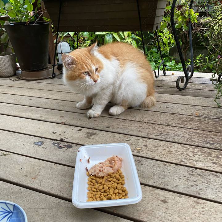 D089365c 2fb8 4640 b86b 7e279ddf8099 1663647375638