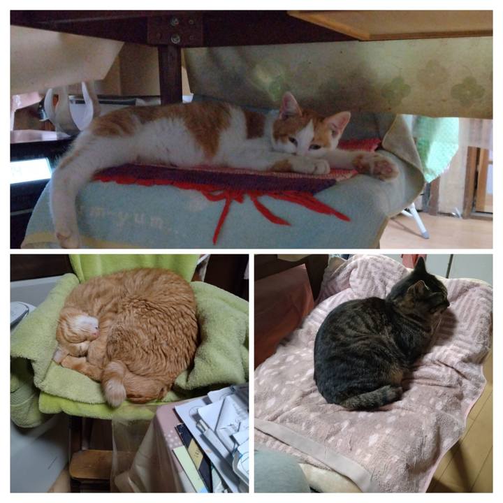 D0895d66 37b4 4835 82db 14d2026dc2ed 1734421292515