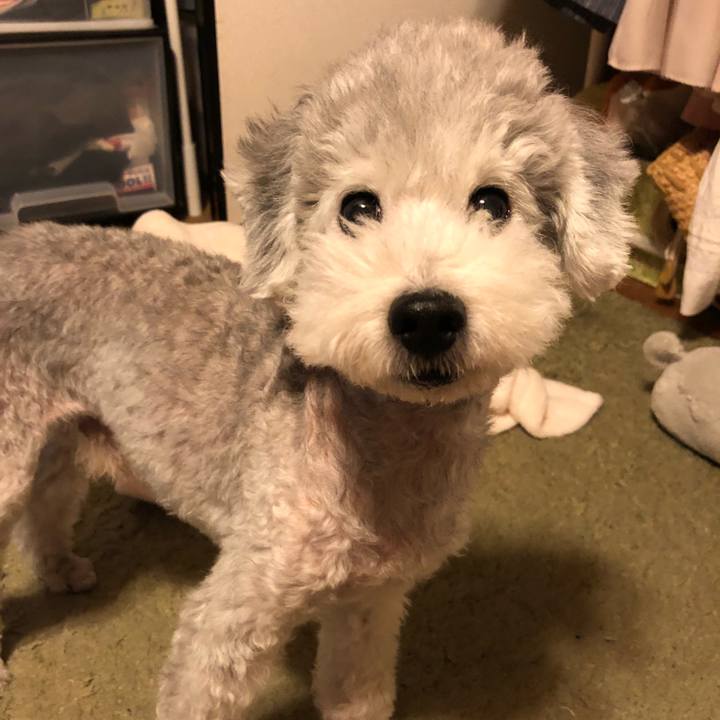 D0897e67 bcc6 432d b452 c9c865a29f1c 1535376445709