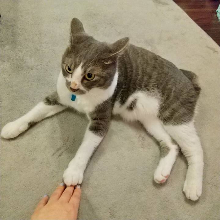 D0899688 2779 4d3f b9be 52a5b5d9e53c 1628683408543