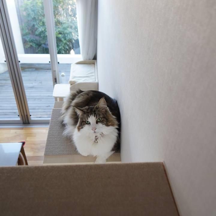 D089b89b 624b 45c8 af70 bc134a69bc9a 1640571467849