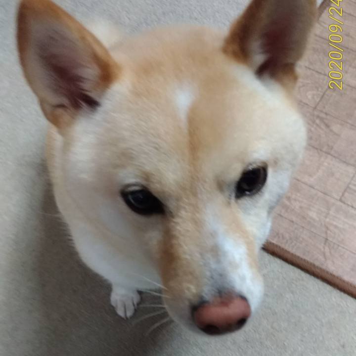 D089c6c1 e283 4b98 bbdd e640fc4cab2e 1600899972020