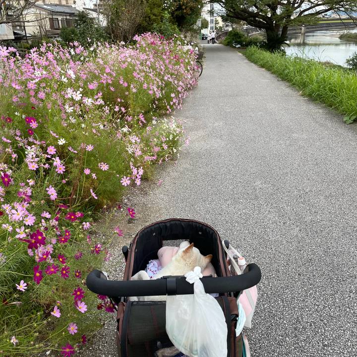 D089f12e 870a 4faa bc05 e5869f1c80fa 1665921498571