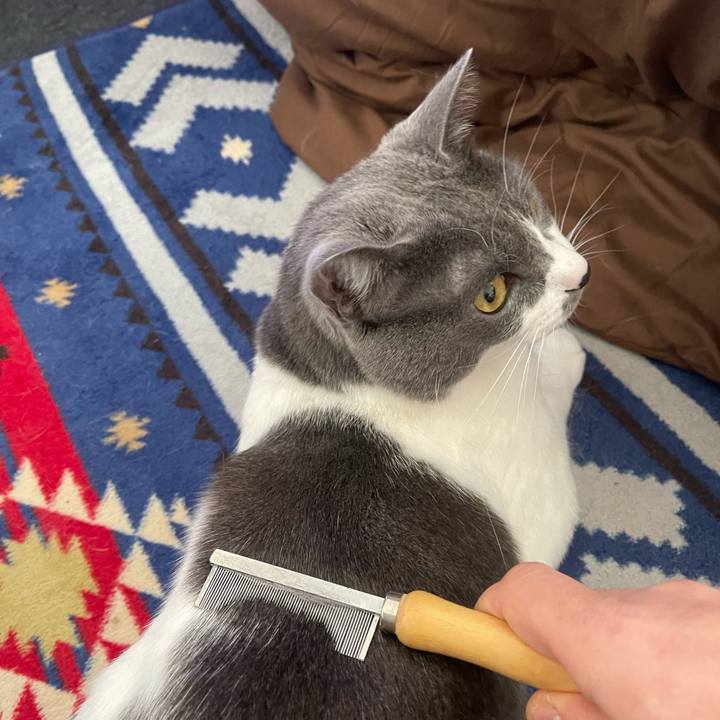 D08a1a1d e5fa 4ecf 8242 3a823f90a111 1670122797525