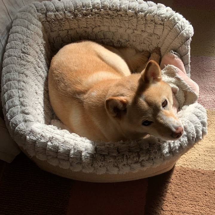 D08a232c ac9b 4944 ba0a 3c1335b27c40 1639619883917