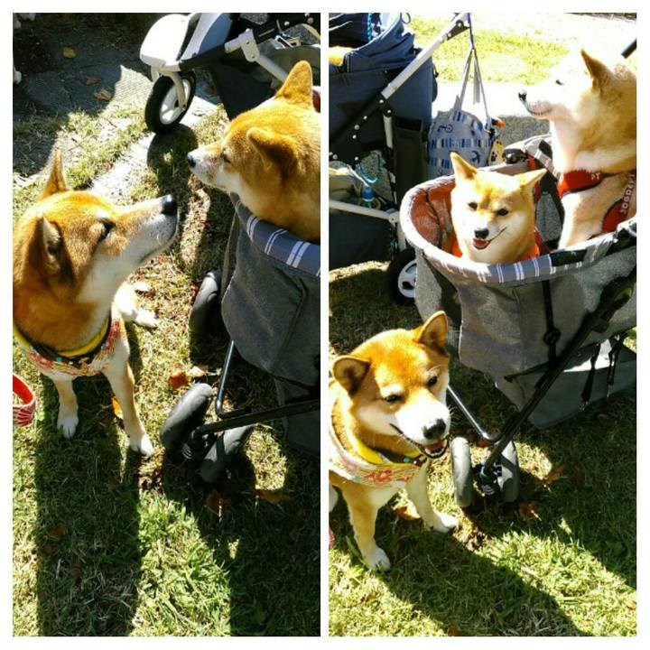 D08a4f27 88cb 4769 a0ef aa951f57aa04 1540112593971