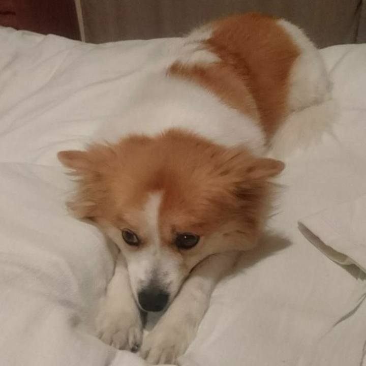 D08a9ef4 b138 4c68 a610 7ac780b390ac 1613227360203