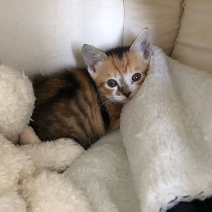 D08aaad5 1fd9 406d 9d51 80263a0caafb 1651555003168