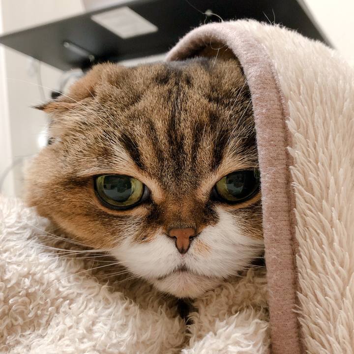 D08ab09e 962f 4a8a 9a48 a23169cd44ab 1609428843329