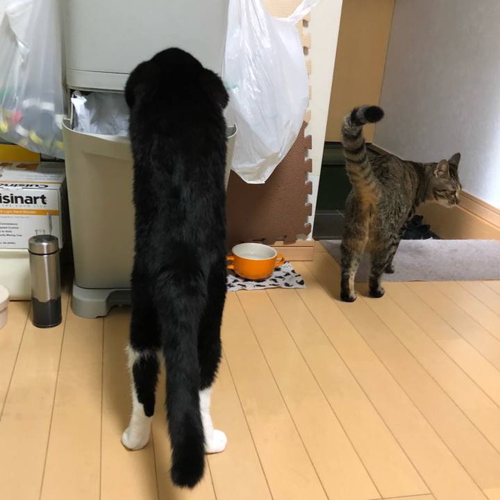 D08ad6f6 26da 4f15 ae78 e24f8417cc93 1537952654263