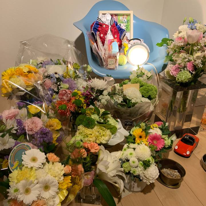 D08af603 ac7c 423c a00d 8f93df036063 1648645833774