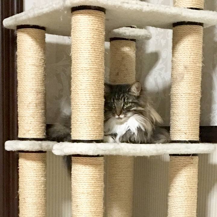 D08afec1 7edd 4a8d 9df7 5702db628763 1510320058495