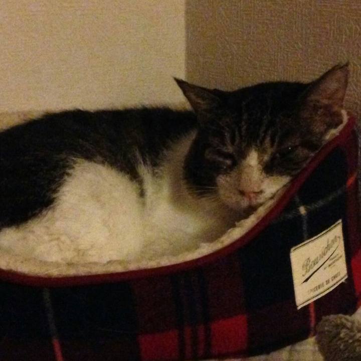 D08b10d4 0219 411e b163 15c62814dd83 1538983170366