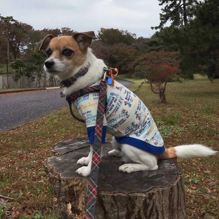 D08b16c2 c502 42a8 9b4c 4d0b8bf62033 1542073879103