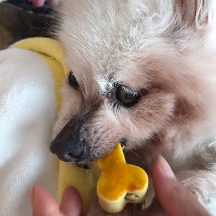 D08b2b5d a521 43a8 84a7 76af05355e2c 1528988833496