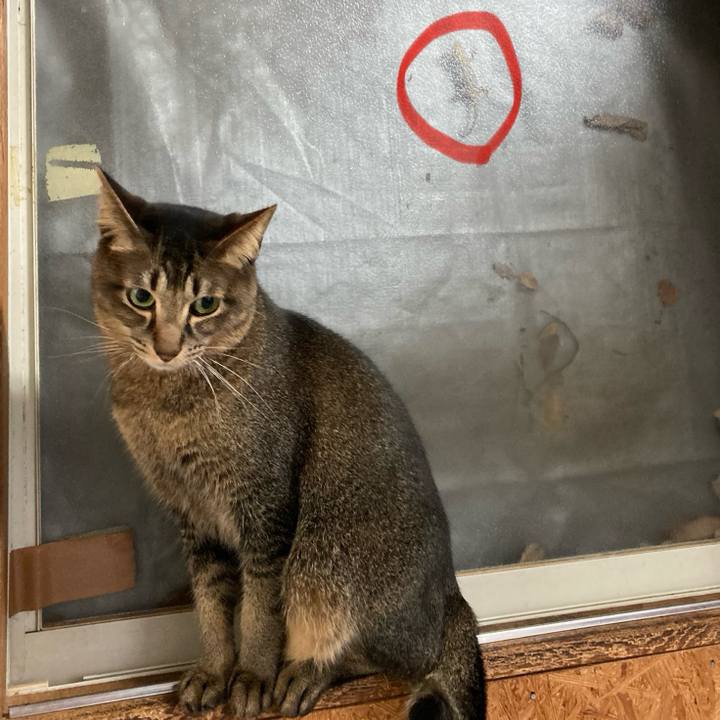 D08b5c91 9d89 4df2 a028 846ddc894762 1717488102390