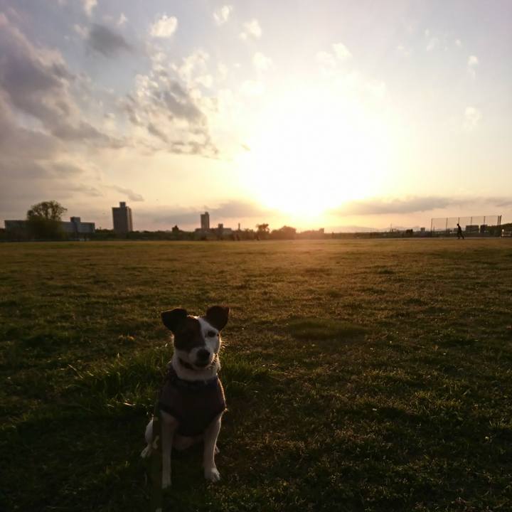 D08b6659 1bdd 46ef 9c25 43a9bce777f6 1523177054985