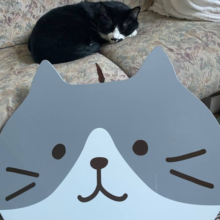 D08b7ba4 d717 49e8 af47 a9f548ece76d 1694673033953