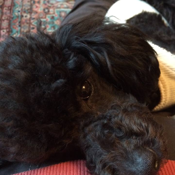 D08b83b4 835a 462a 8167 caf9927a19f1 1520468621470