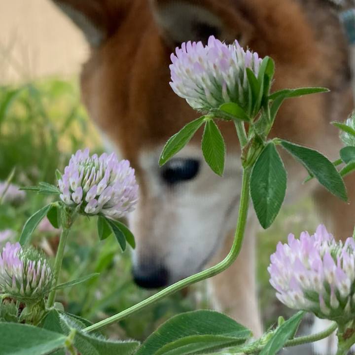 D08b855c 73cd 40c4 b1ae 22f6f0486f41 1719651508218