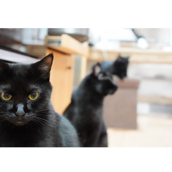 D08ba5ff 0ef6 44cf b7e8 162f3099b26b 1569422281710