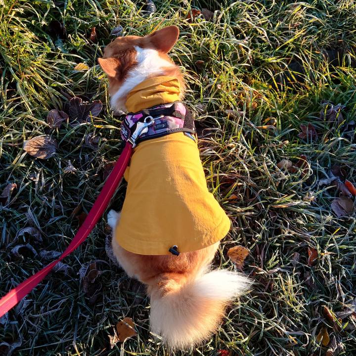 D08bd75e 284a 4127 9703 8f77be440f4e 1762212805273