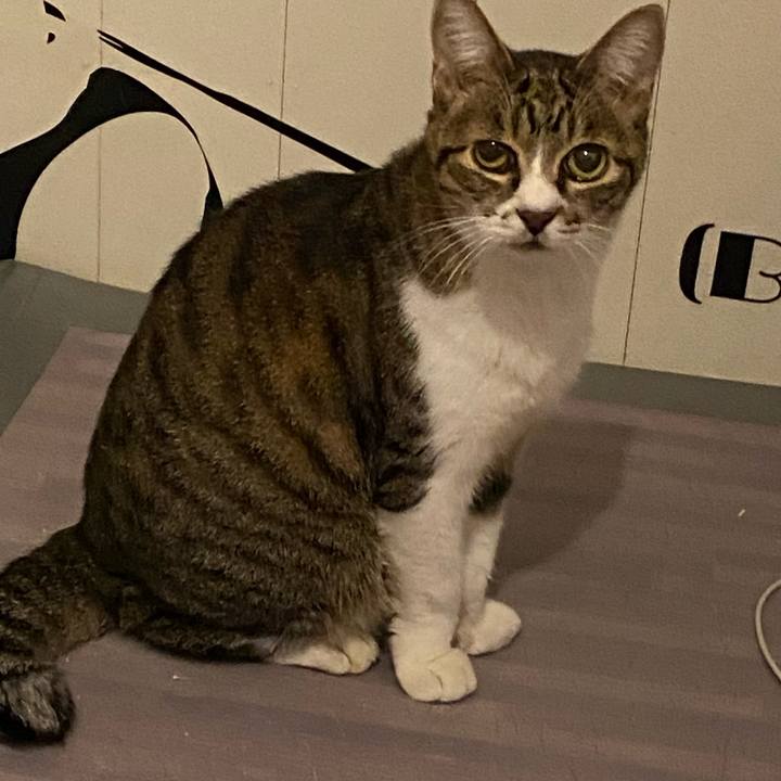 D08bec06 dd27 4971 bdfe dc440eddcf8d 1667084409829