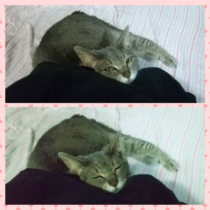 D08c133c b26e 4fe4 a1c6 31e81a67f138 1684150119711