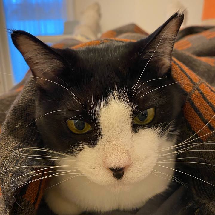 D08c16df 32f4 470b b202 2e6dd7d6dc08 1742472267442