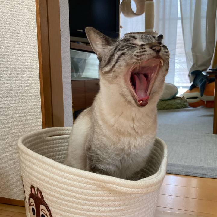 D08c3fb9 64ec 4193 a314 cb9498855ff3 1758331416601