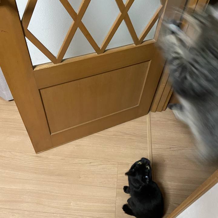 D08ca944 3138 4837 826a 2d59e2b59766 1616676993201