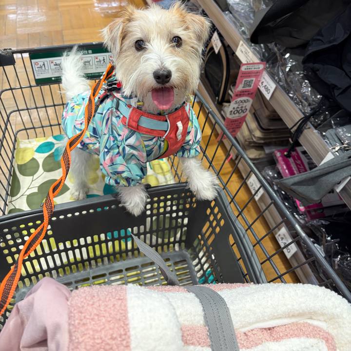 D08ce13a 4fc1 4fd7 853d faf036a5e38a 1770783416594