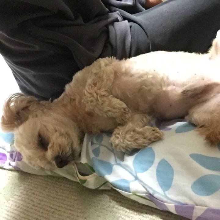 D08cff13 5451 4c58 bb1d 4cbcdfb31057 1525298398686