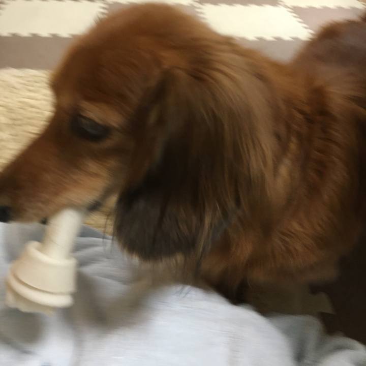 D08d03a1 21d0 4ee7 9e02 5d9a55309d5a 1571925860572