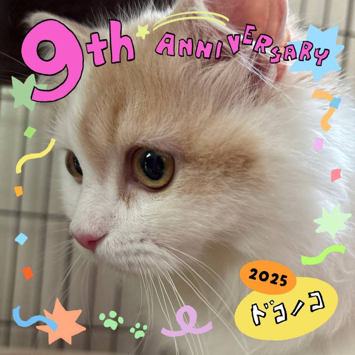 D08d1e86 d8cc 4624 948b b55248eba858 1749343744397