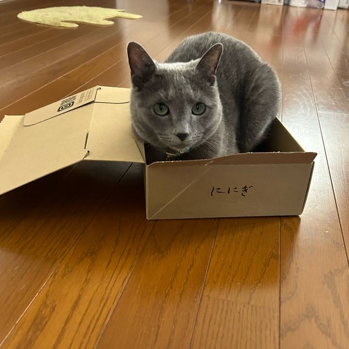 D08d6c03 ce08 4313 84bc 2533e36764ab 1712466087884