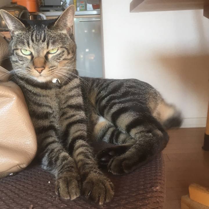 D08d8f9f 7f6f 48e5 8f6f 43ed804cb5a3 1513059180372