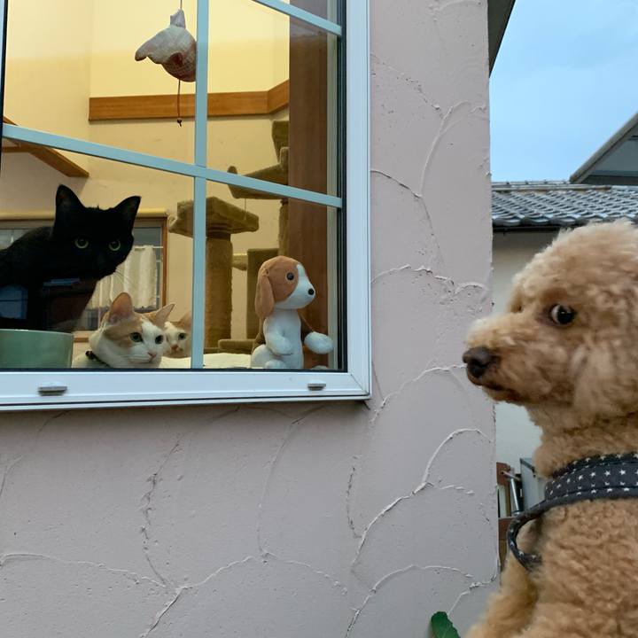 D08d9acb 3be7 48e9 ac0f 95222e24c809 1567595495234