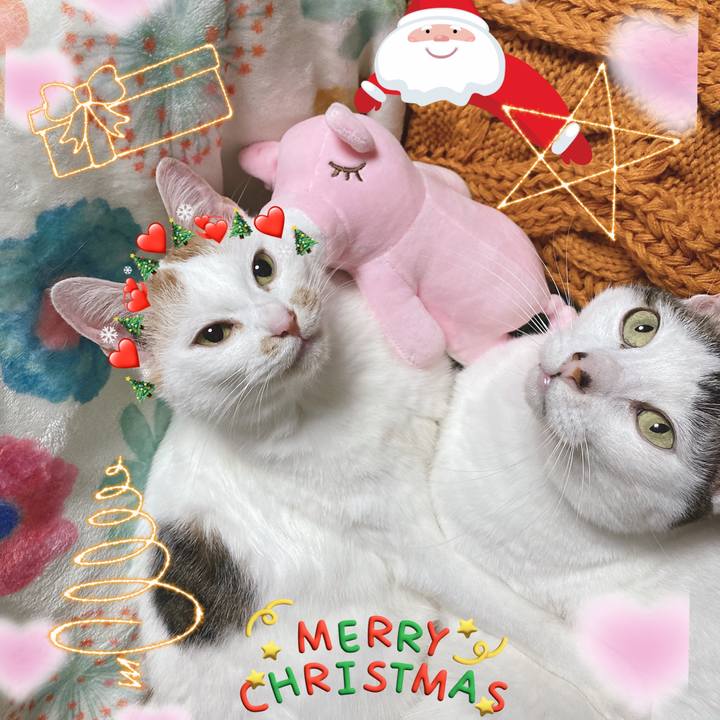 D08da186 edc5 4a80 bbb2 6ab6e7b1d62b 1671967489945