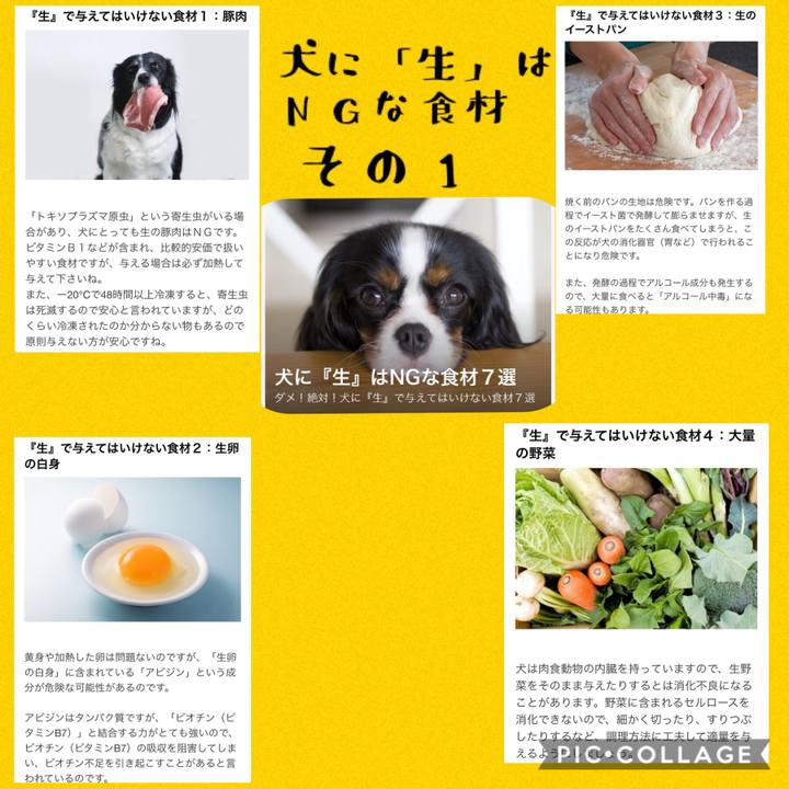 D08dccda 12d1 41b2 995b fefcaddbecb4 1540736180892