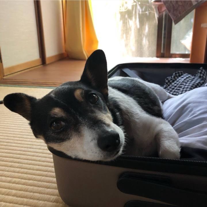 D08dcd4b 0bce 4db7 94a6 f8e54b52234d 1749270526287