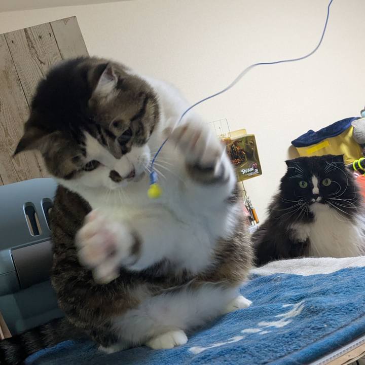 D08de2e4 22f6 429d 8d16 afb4b5d661fc 1766489624394