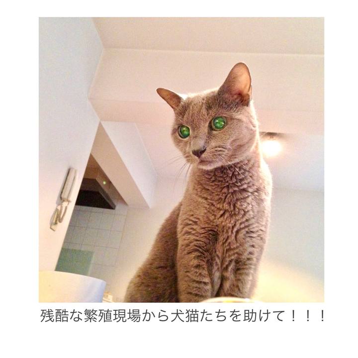 D08df0ef 0ff6 4f24 98a2 257cd565a300 1605416501331