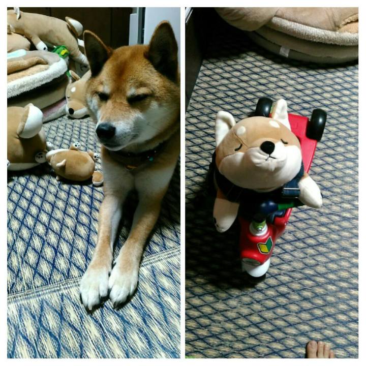 D08df188 61bd 430a 9687 a56db9bacc6b 1529756228408