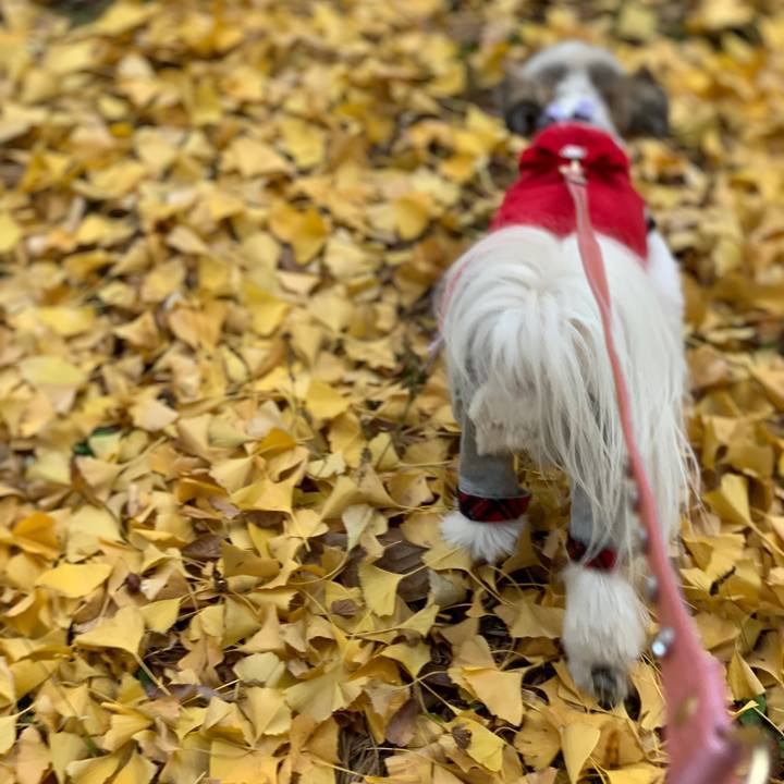 D08e2792 9ca3 47fa bdad ff92a05bece8 1576230803003