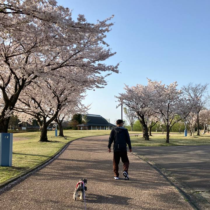 D08e43d6 b6fc 4121 834a 322fe09d2ba5 1713186316387