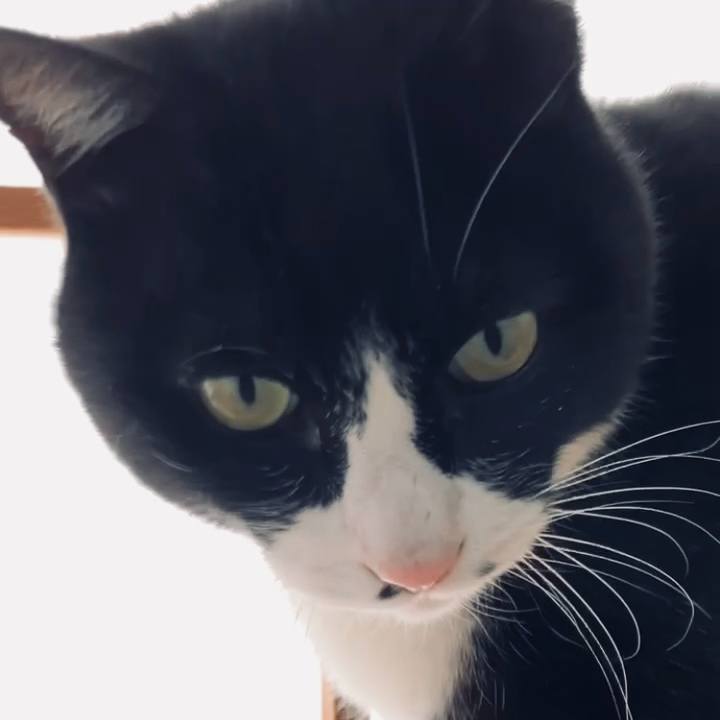 D08e4559 fc2d 4971 b0d2 839b1967142a 1740103424928